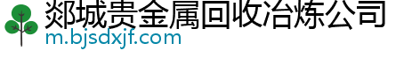 郯城贵金属回收冶炼公司